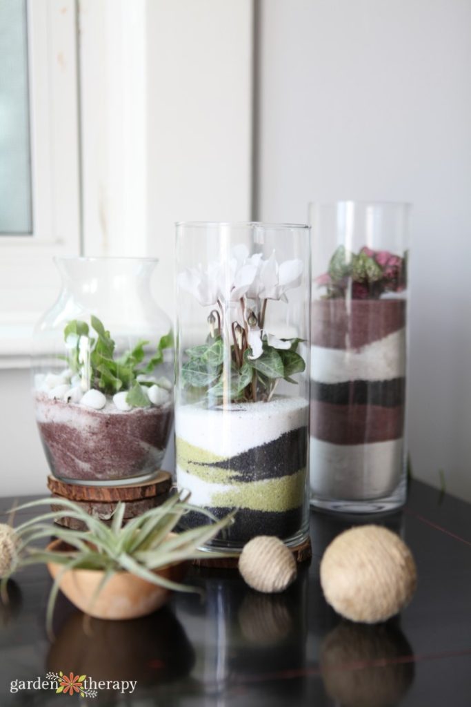 How to Make a Stunning Sand Art Terrarium