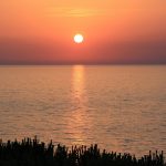 Seasonal Ritual: Harvesting Cloud Mist