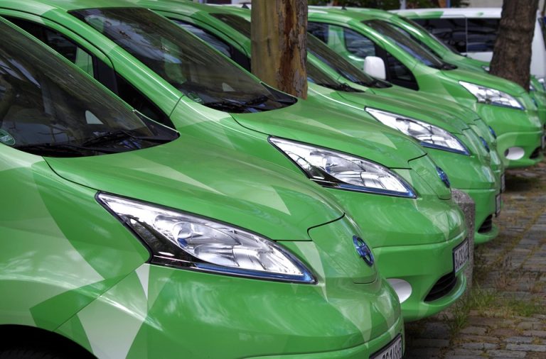 Best Of Rainwater Tapestries & Moonlit Harvest Bundles Best Of Rainwater Tapestries & Moonlit Harvest Bundles