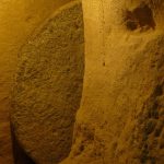 Eco How-To: Rooftops Rooted in Green—Earthy & Alive Eco How-To: Rooftops Rooted in Green—Earthy & Alive