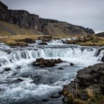 Eco How-To Cultivating Stillness Alongside