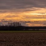 Top 5 Ideas: Earthen Echoes, Sky-Blue Nooks Top 5 Ideas: Earthen Echoes, Sky-Blue Nooks