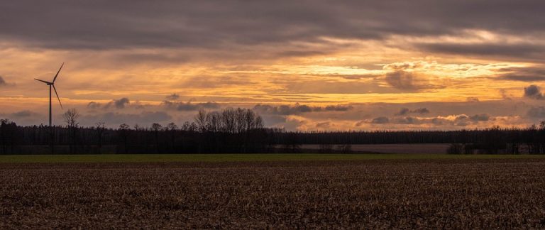 Top 5 Ideas: Earthen Echoes, Sky-Blue Nooks Top 5 Ideas: Earthen Echoes, Sky-Blue Nooks