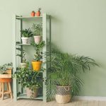 Keep Indoor Plants Thriving Through the Season • The Garden Glove Keep Indoor Plants Thriving Through the Season • The Garden Glove