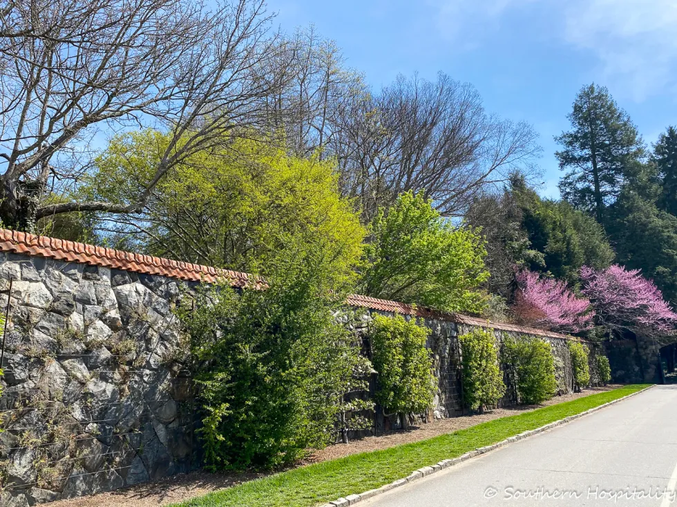 biltmore blooms 2021 - southern hospitality