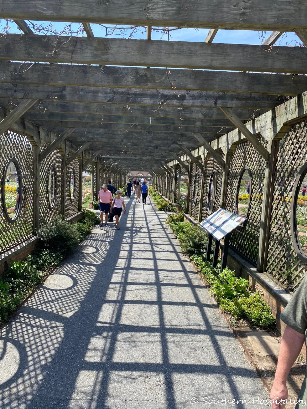 biltmore blooms 2021 - southern hospitality