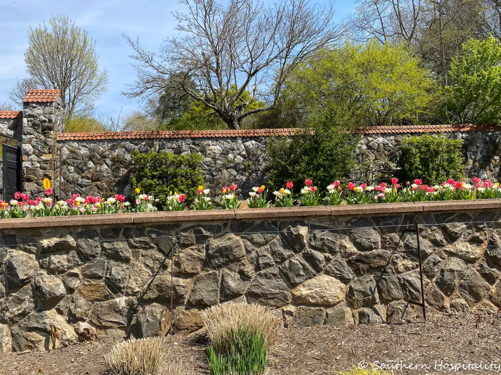 biltmore blooms 2021 - southern hospitality