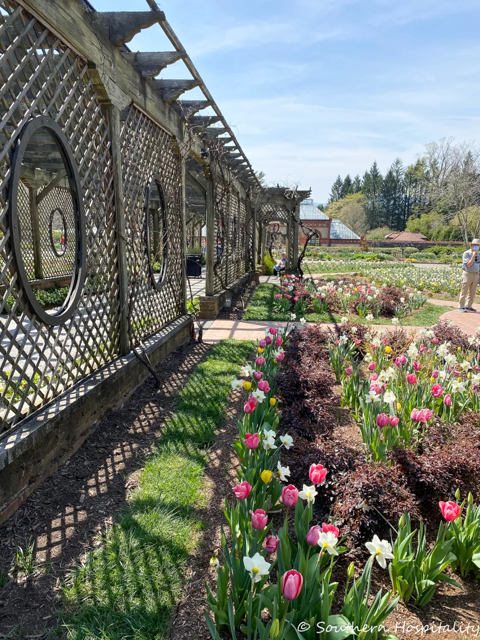 biltmore blooms 2021 - southern hospitality