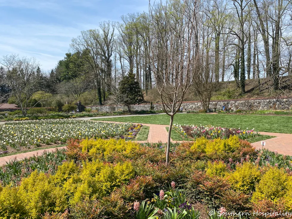 biltmore blooms 2021 - southern hospitality