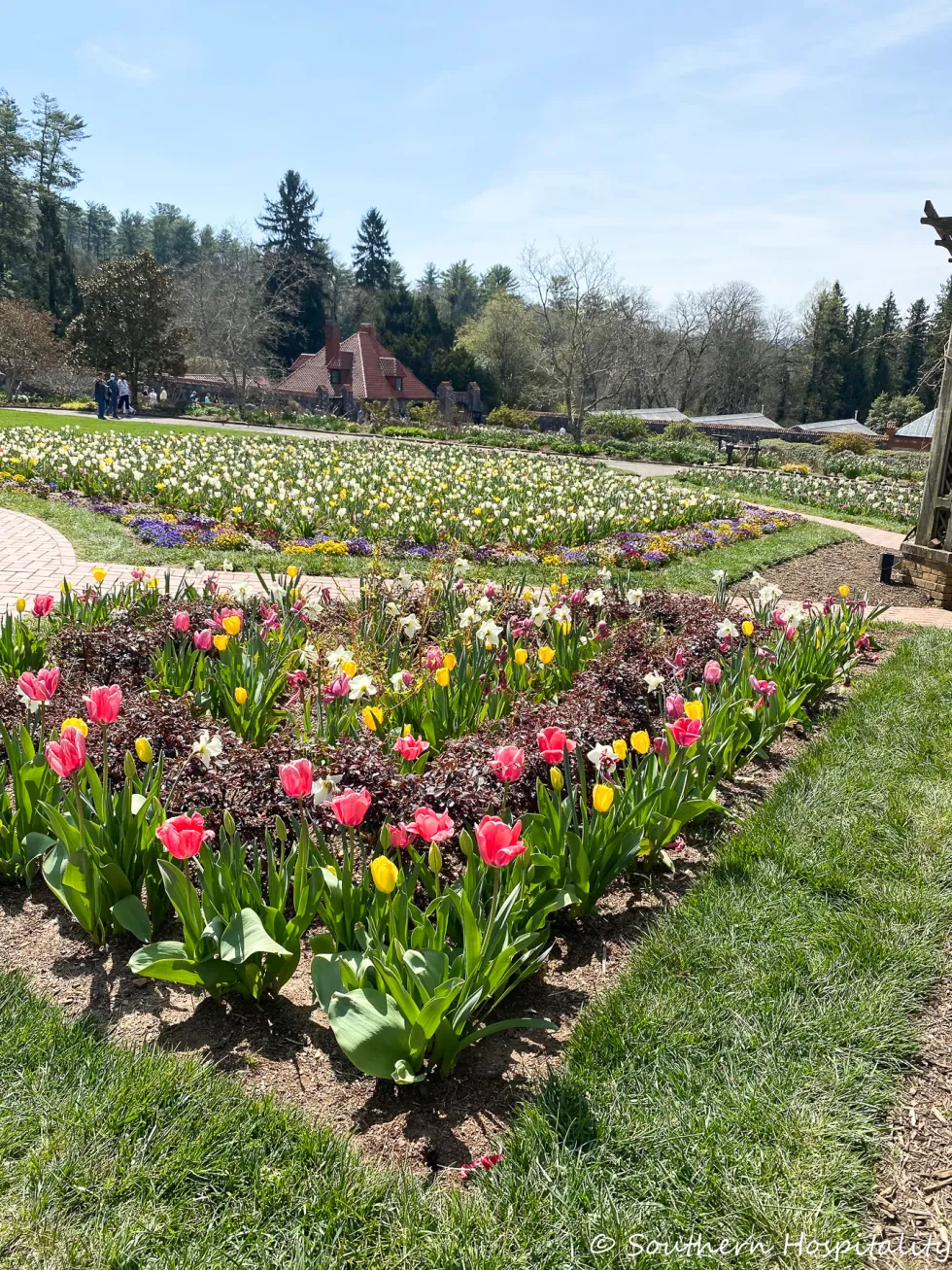 biltmore blooms 2021 - southern hospitality