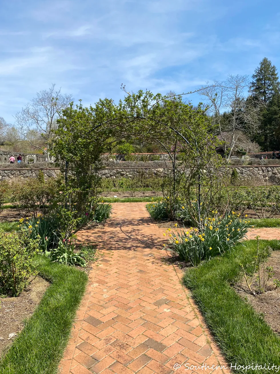 biltmore blooms 2021 - southern hospitality