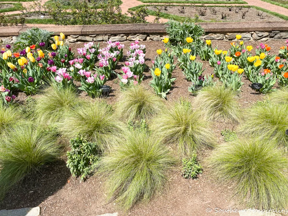 biltmore blooms 2021 - southern hospitality