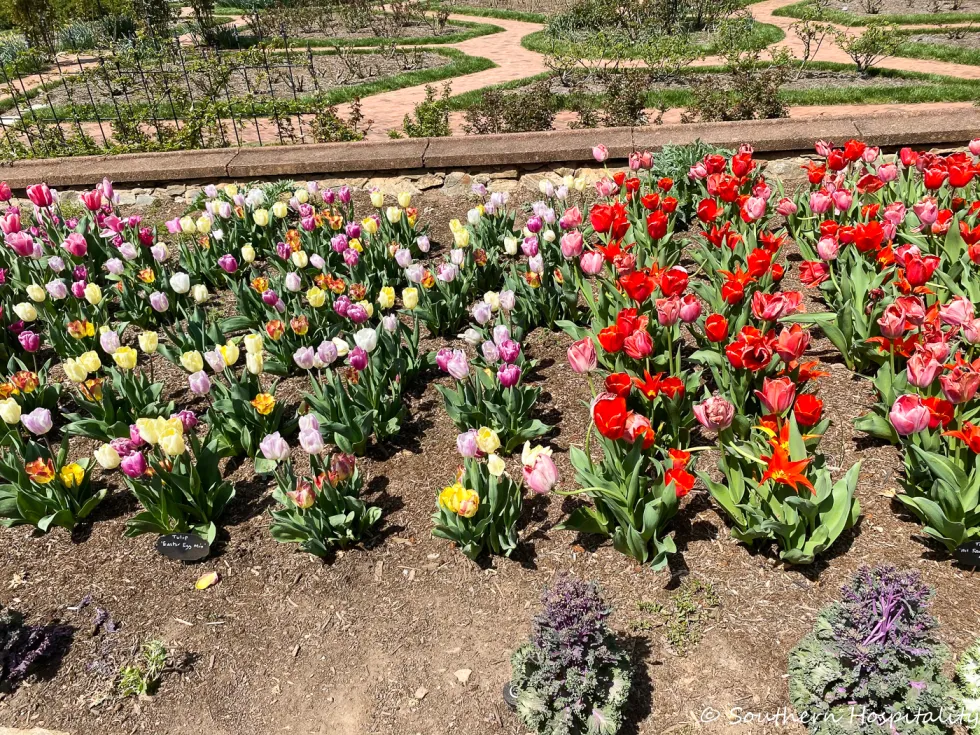 biltmore blooms 2021 - southern hospitality