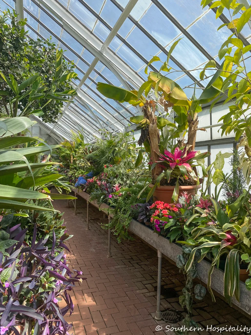 biltmore blooms 2021 - southern hospitality