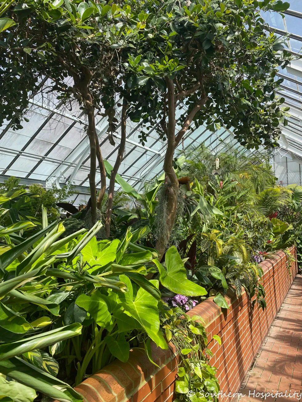 biltmore blooms 2021 - southern hospitality