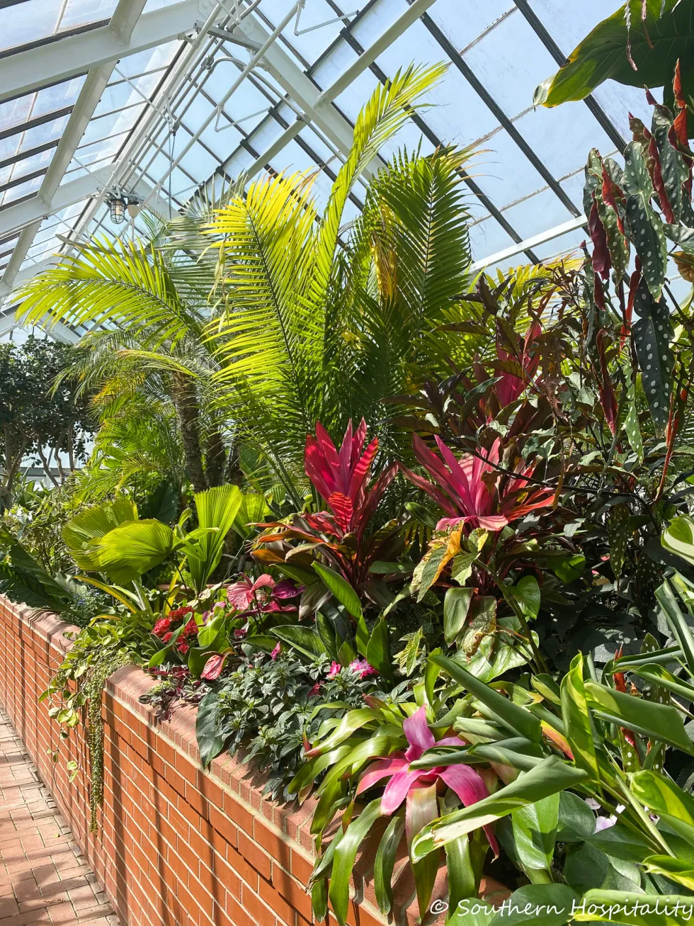 biltmore blooms 2021 - southern hospitality