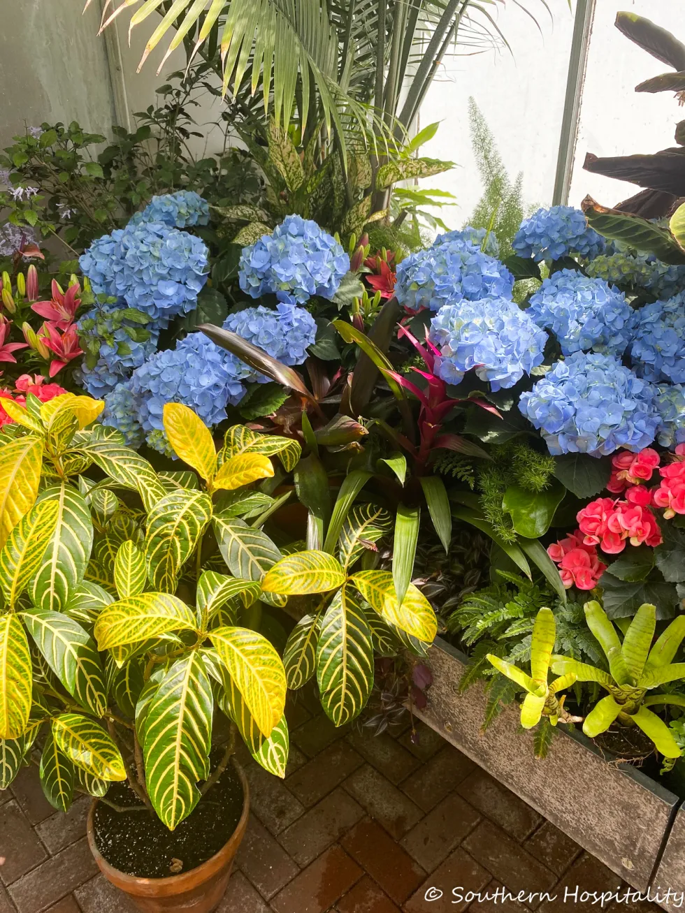 biltmore blooms 2021 - southern hospitality