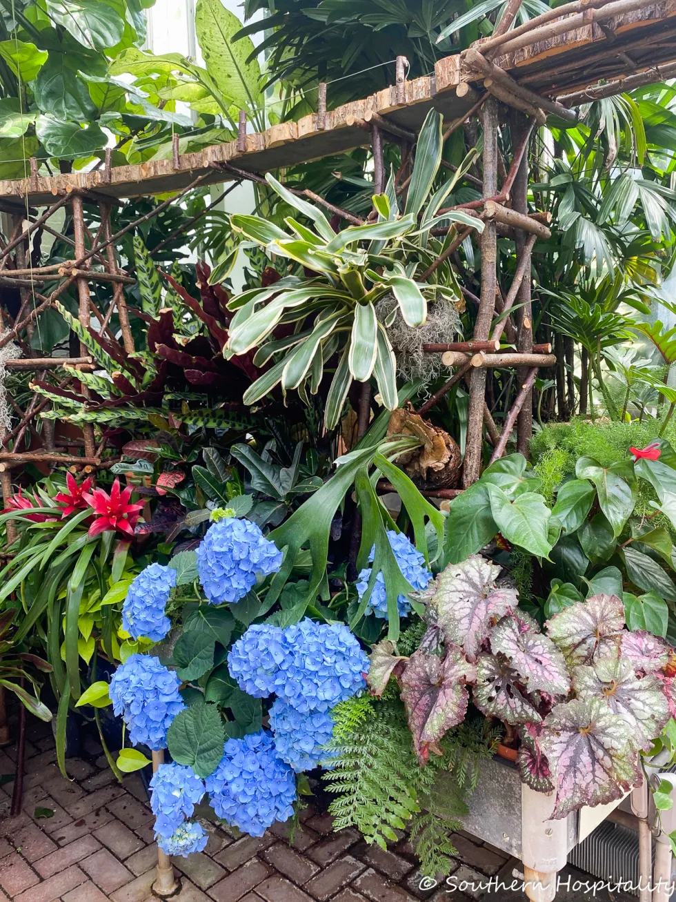 biltmore blooms 2021 - southern hospitality