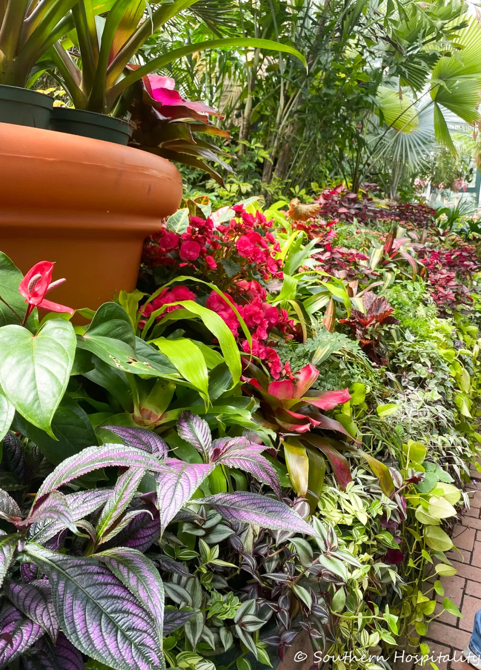 biltmore blooms 2021 - southern hospitality