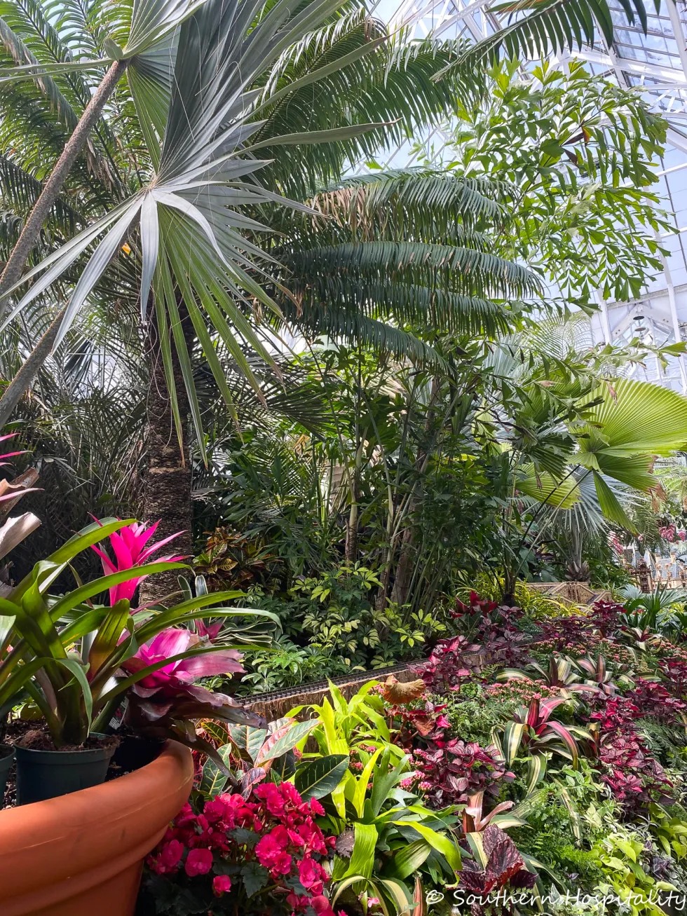 biltmore blooms 2021 - southern hospitality