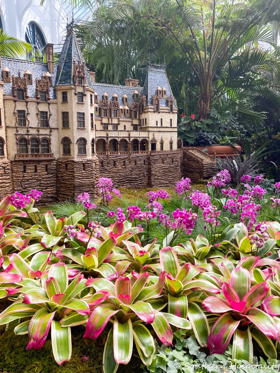 biltmore blooms 2021 - southern hospitality
