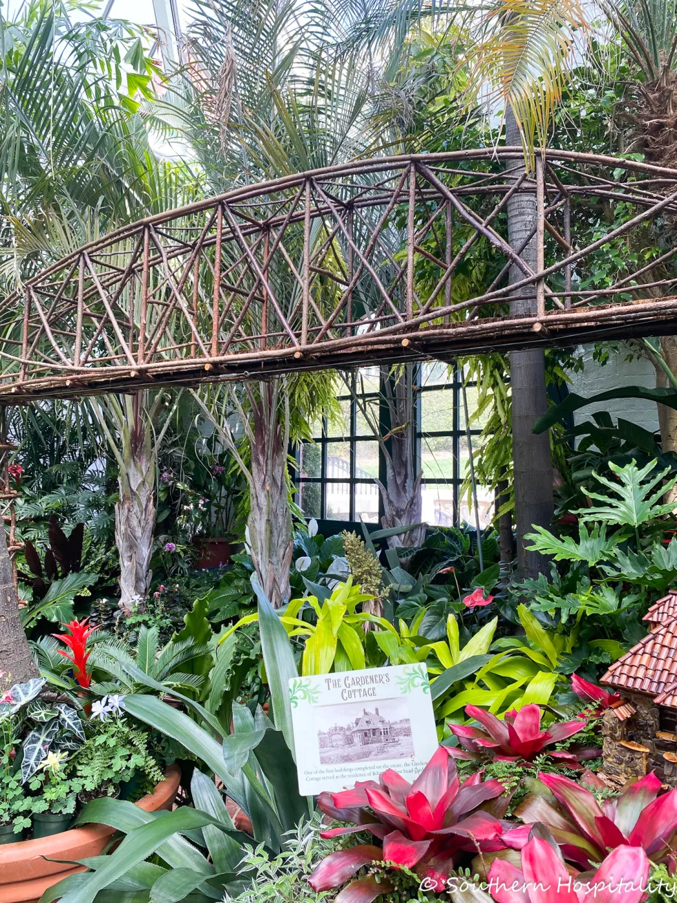 biltmore blooms 2021 - southern hospitality