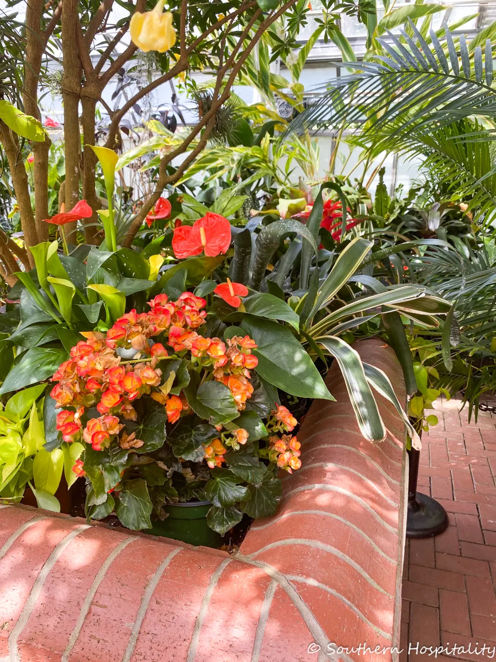 biltmore blooms 2021 - southern hospitality