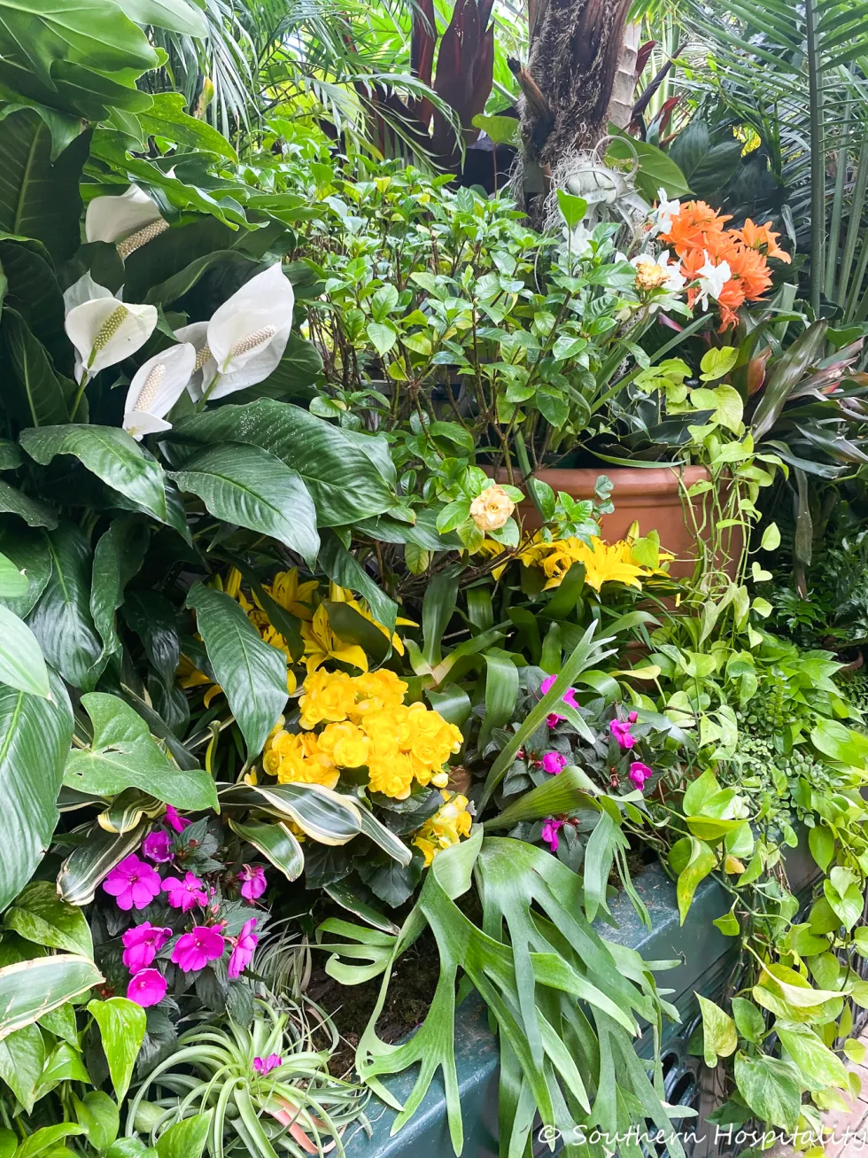 biltmore blooms 2021 - southern hospitality