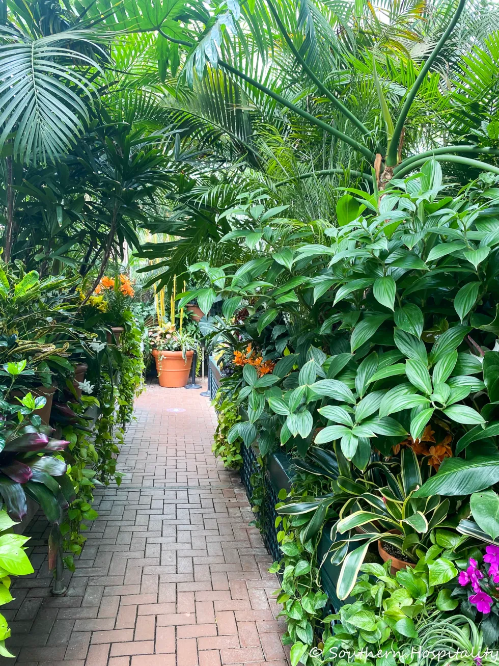 biltmore blooms 2021 - southern hospitality