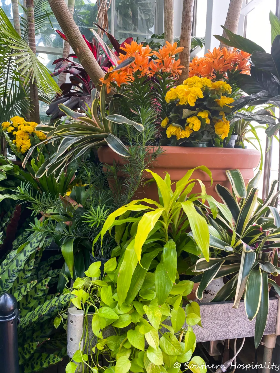 biltmore blooms 2021 - southern hospitality