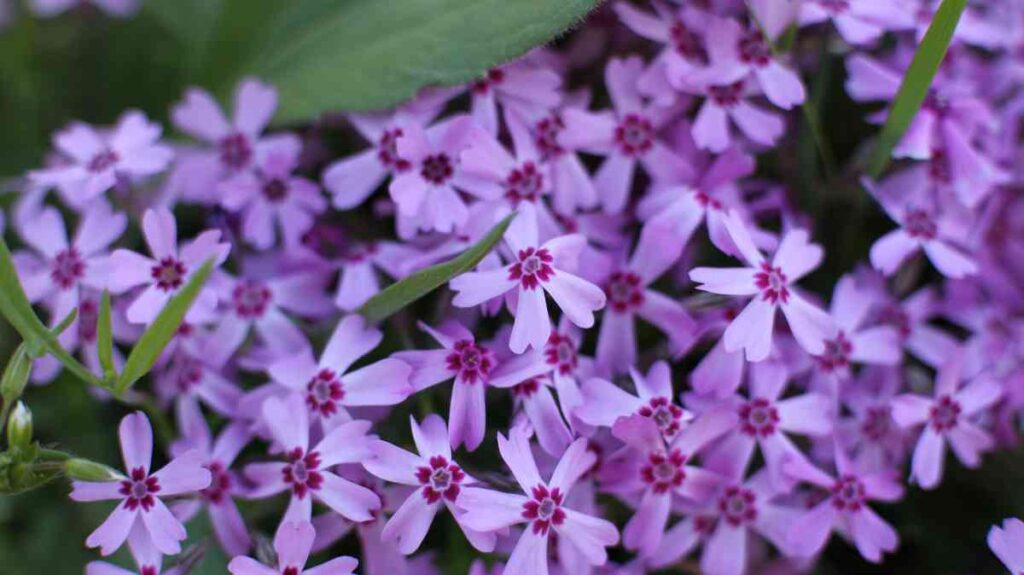 26 beautiful spring flower bed ideas for your garden 76 26 beautiful spring flower bed ideas for your garden