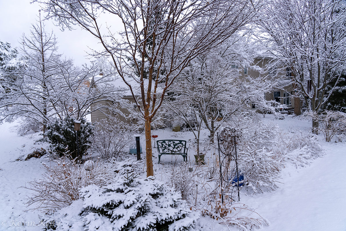 back garden covered in snow