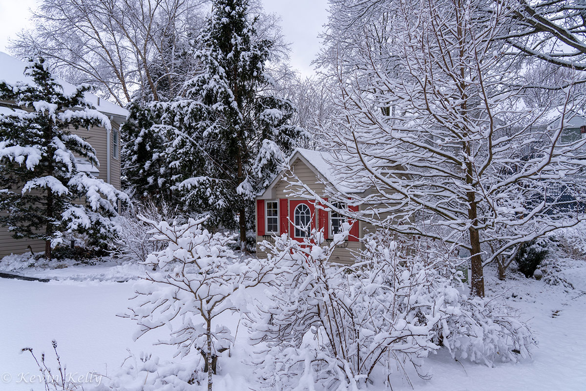 garden shed in snowy garden