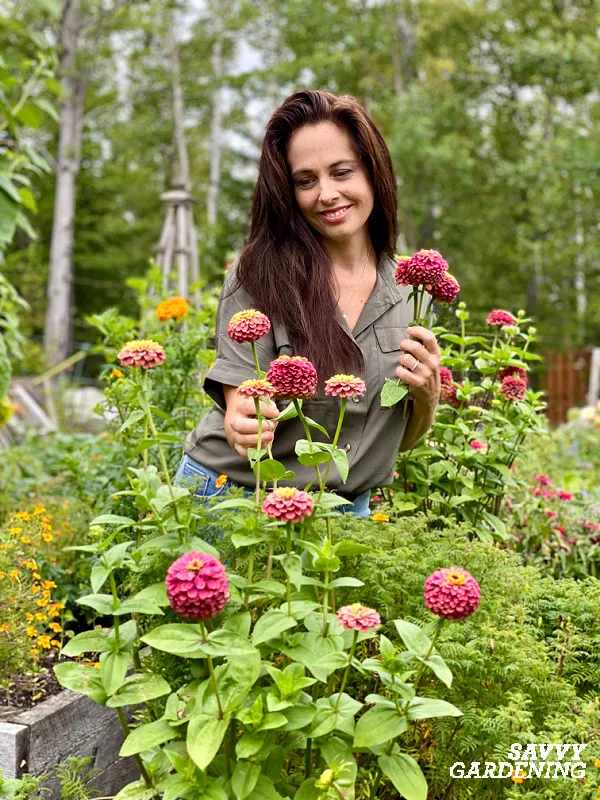 the best fast growing plants