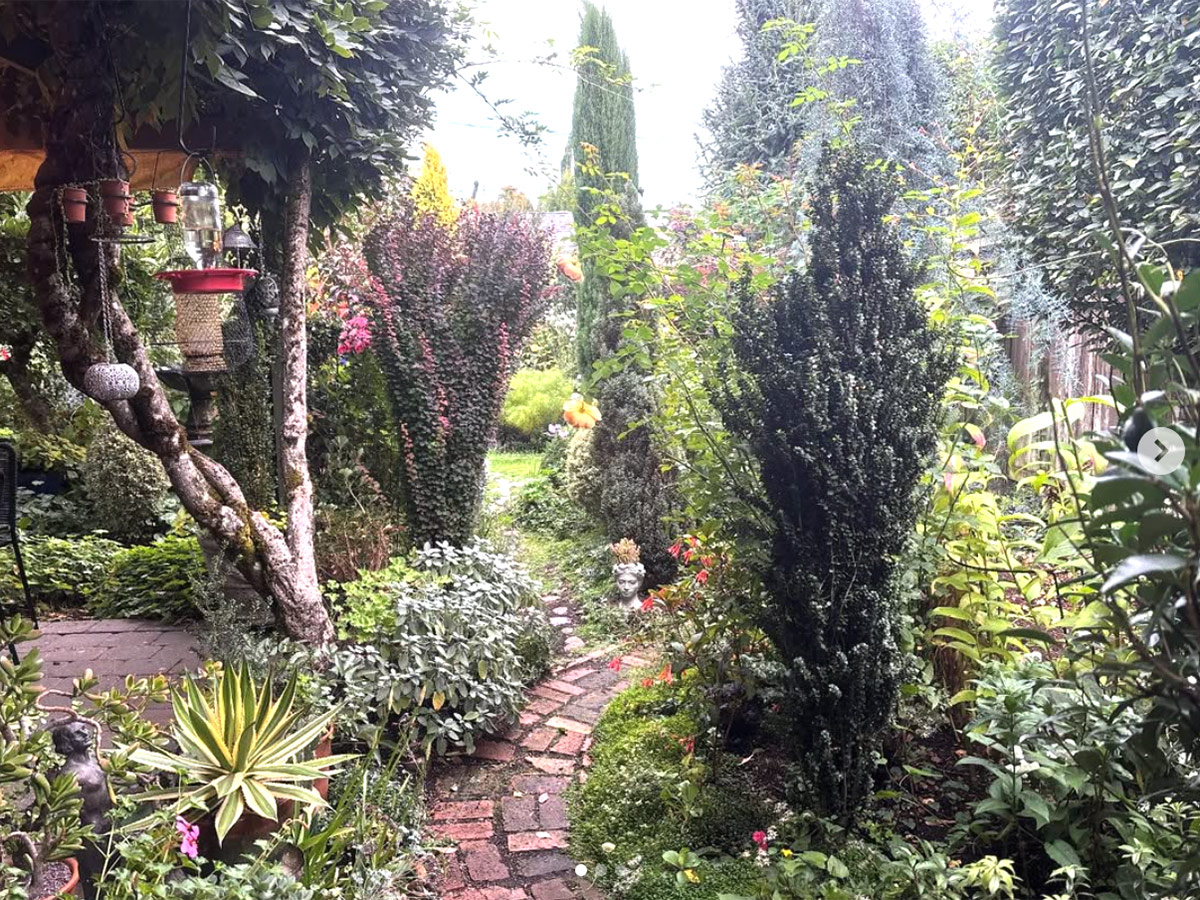 fall garden with lots of narrow trees and shrubs