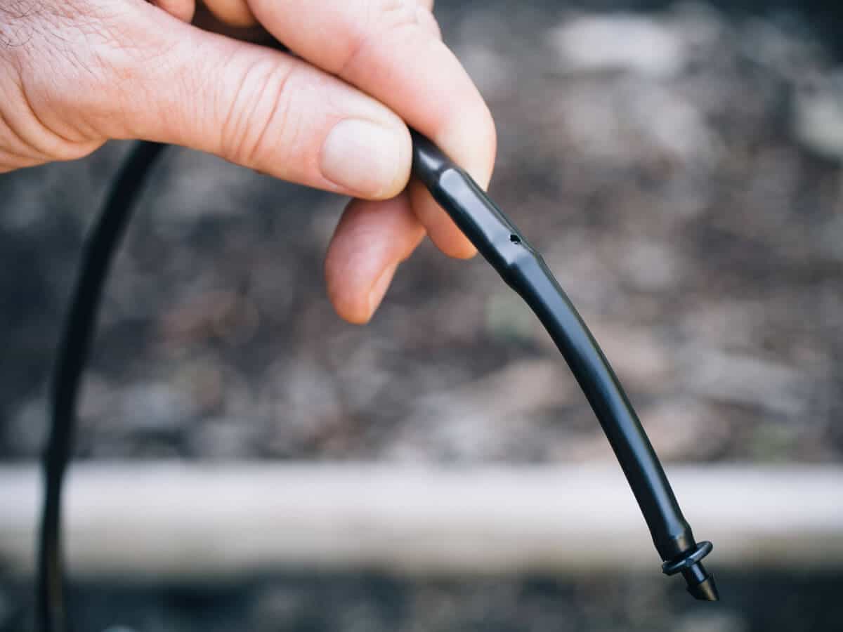 dripline with built-in emitter