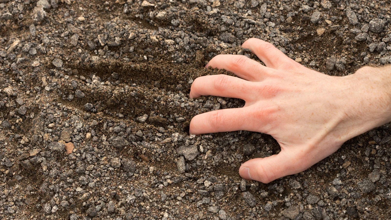 a man's hand glides over brown rocky gravel soil, fingers tracing thin, elongated marks across the uneven surface.