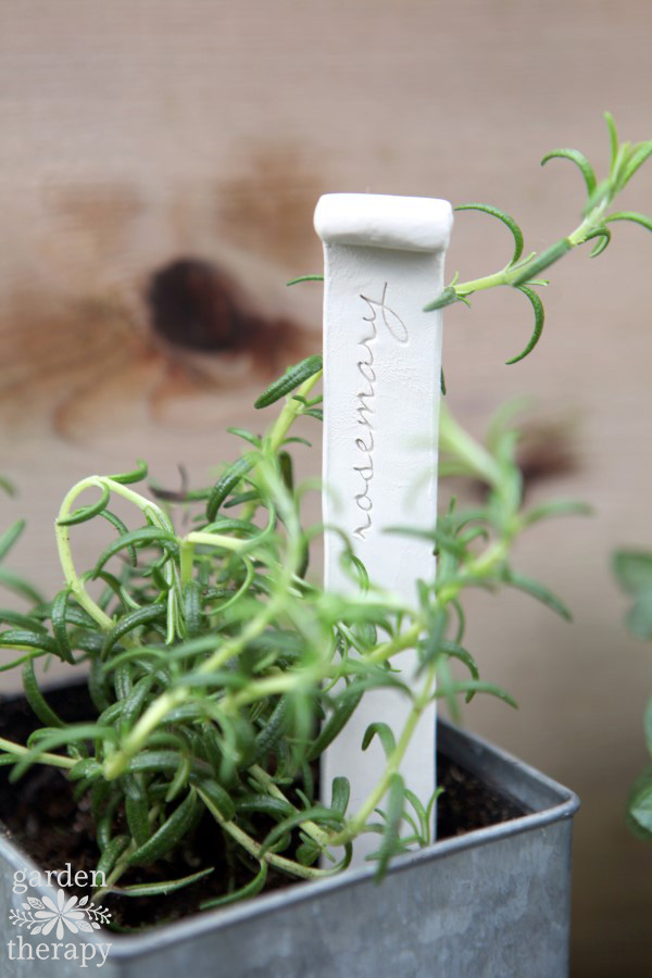 clay plant stakes for herbs - rosemary