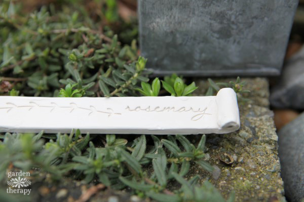 clay plant stakes for rosemary