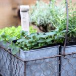 You’ll Love Making These Simple & Pretty Clay Plant Stakes