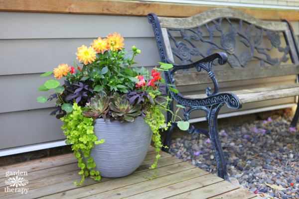 the best potting soil for plants: 6 peat-free diy soil recipes