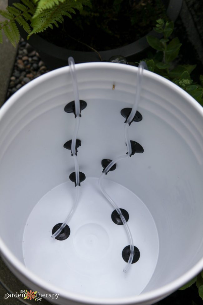 make compost tea with this diy home brewer 23 large white bucket with a clear tube attached to the inside using suction cups in preparation for compost tea.