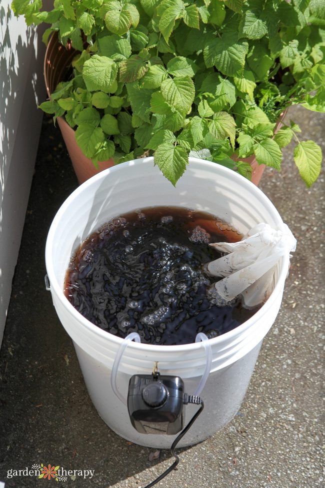 make compost tea with this diy home brewer 25 aerated compost tea brewer made from a 5 gallon bucket sitting next to a mint plant.