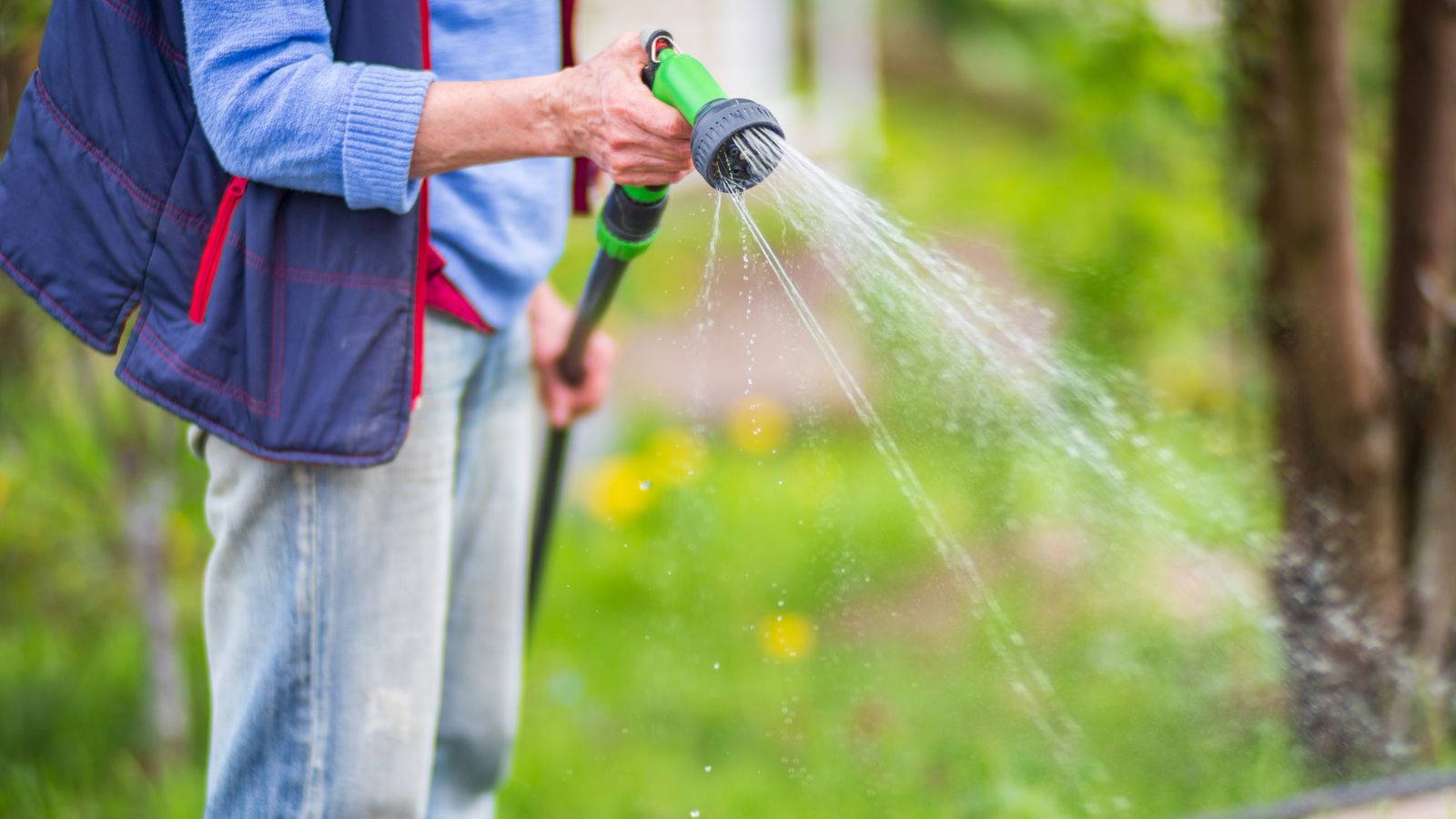 a shot of a person in the process of using a hose with a nozzle to provide water to plants an flowers in a well lit garden area