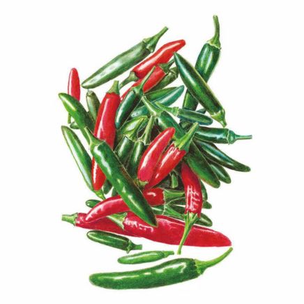 we've mastered germinating chile pepper seeds. here's how 2 serrano chile pepper seeds