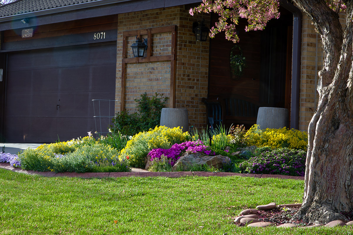 front garden border bed