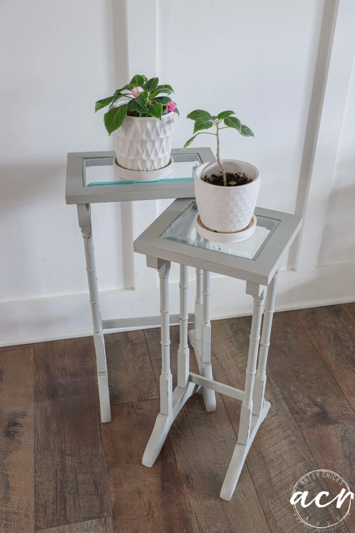 two white potted plants sit on matching light gray, rectangular glass top tables with mirrored surfaces, placed on a wooden floor against a white paneled wall.