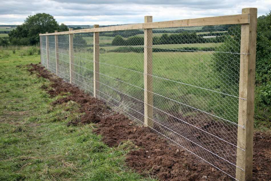 diy cheap fence
