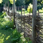 22 DIY Cheap Fence Ideas for Garden