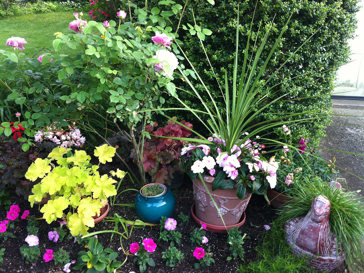 garden bed with lots of annual plants